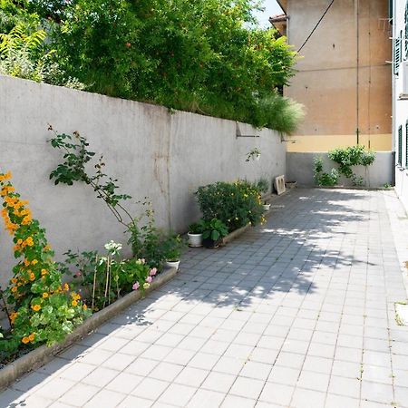 Apartman Carduelis 斯普利特 外观 照片